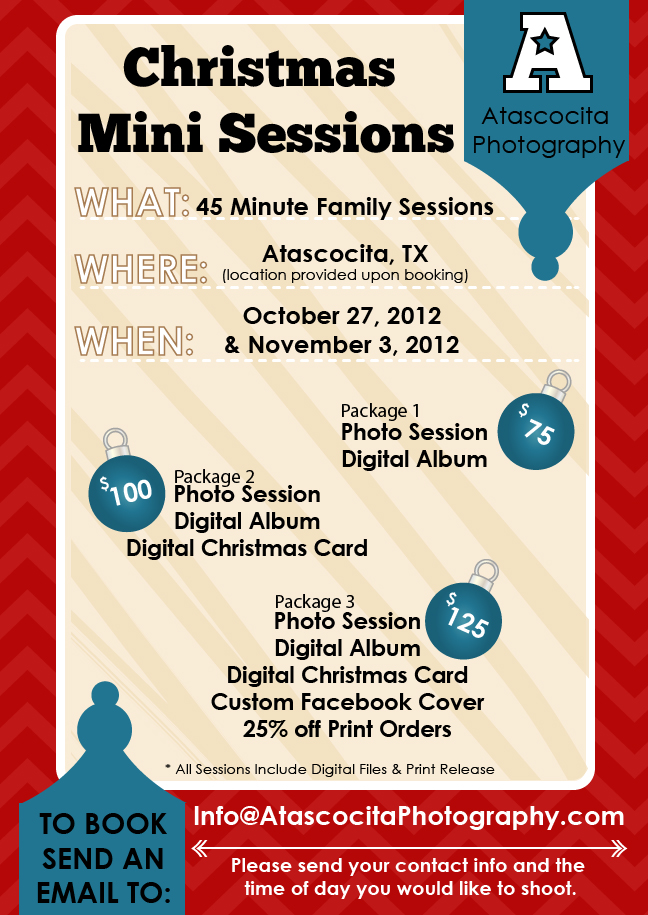 Christmas Mini Session Flyer Atascocita Photography