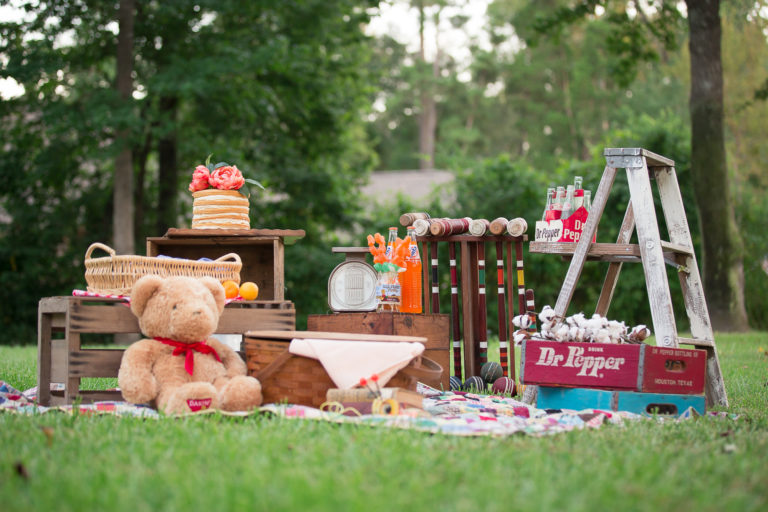 Summer Picnic Mini Sessions