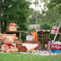 16SUMMER-PICNIC-MINIS-Atascocita-Photography