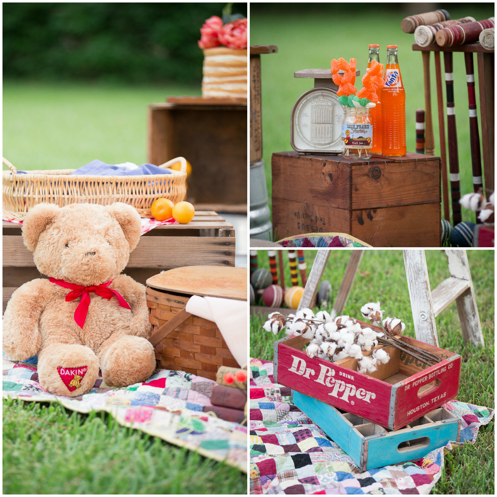 Summer Picnic Mini Sessions