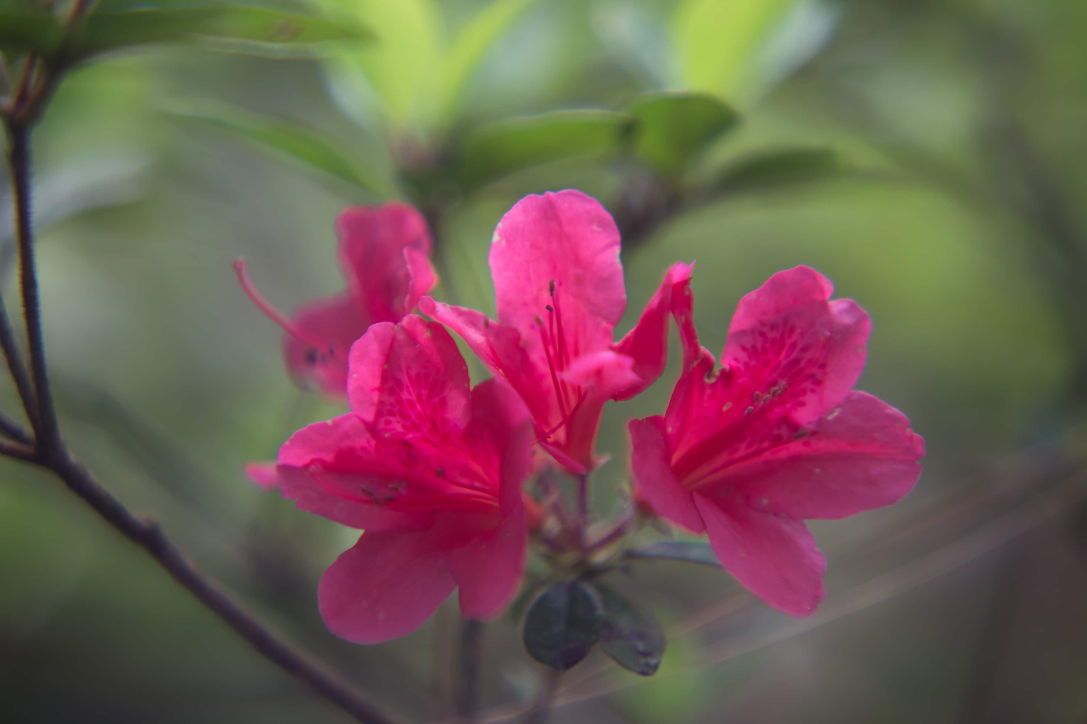 Parent Photography Classes