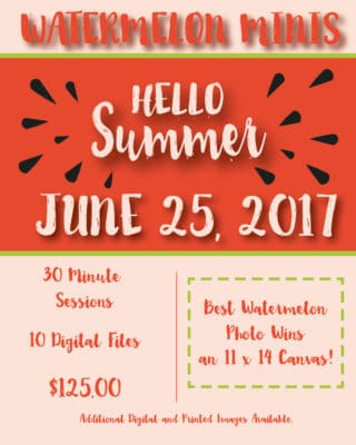 Summer Minis Sessions 2017