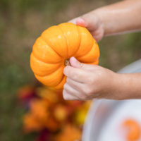 12-Childrens-Milk-Bath-Session-Atascocita-Photography