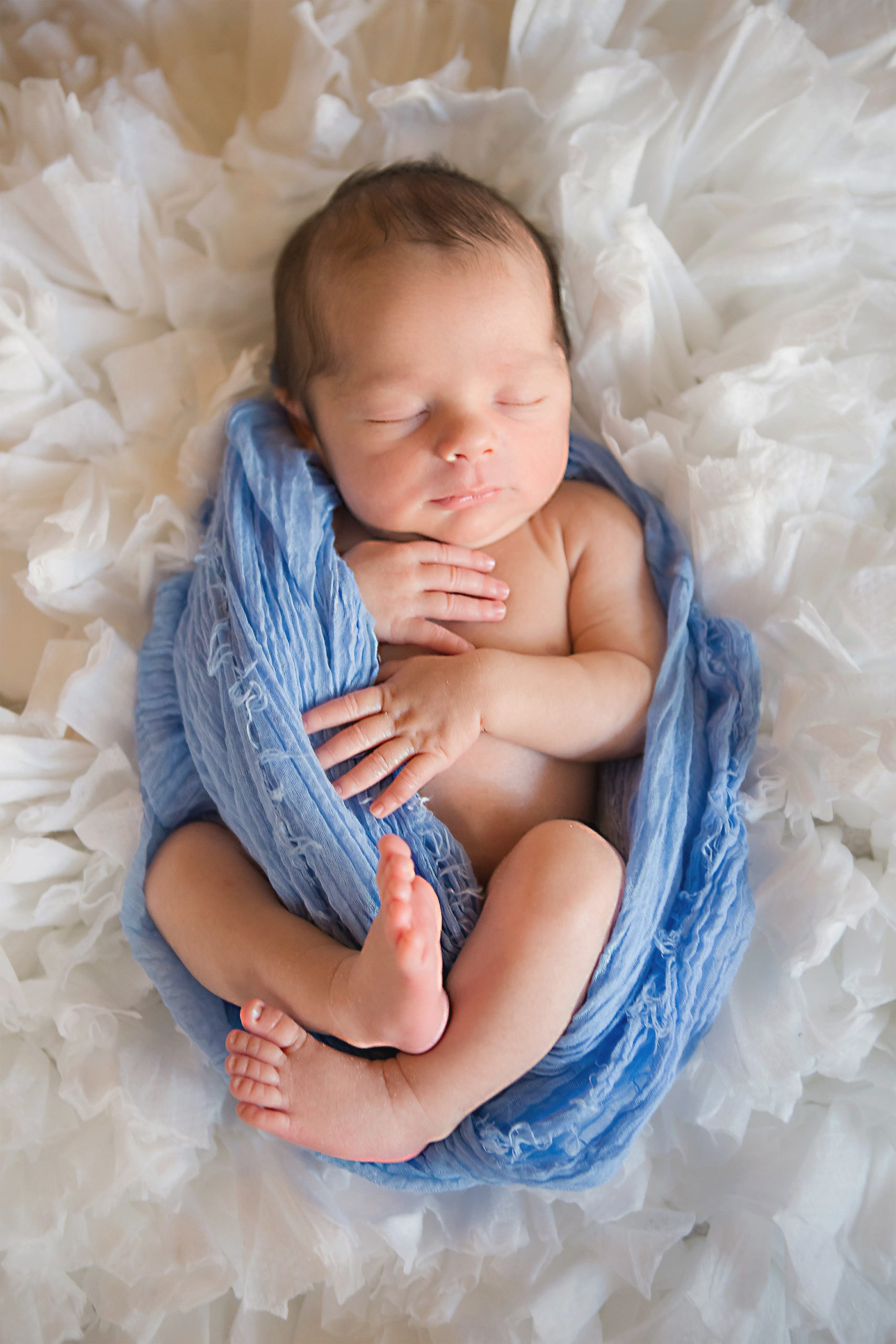 Newborn Baby Boy Wrapped in Light Blue Fabric on White Ruffled Backdrop