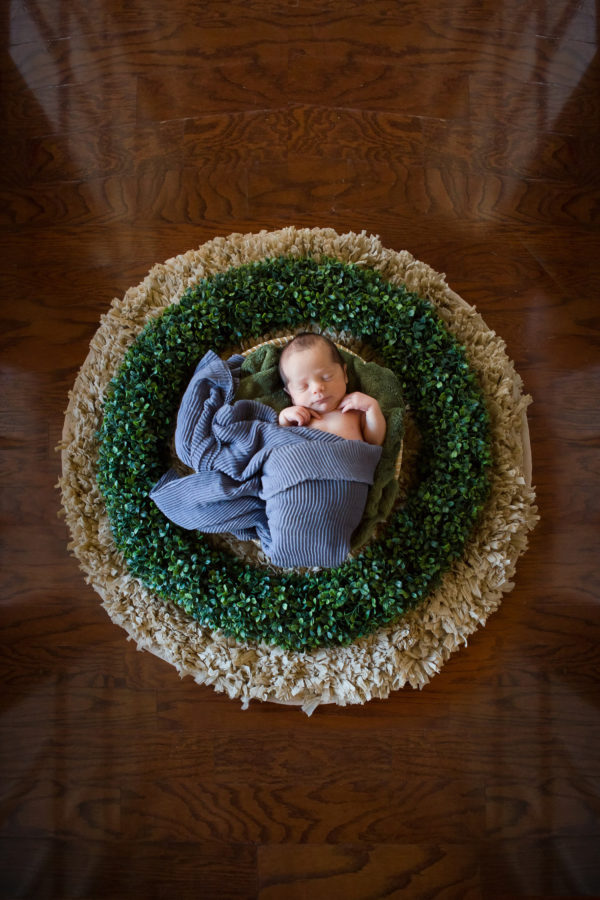 Newborn baby posed in basket with blue blanket.