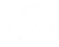 Top Houston Wedding Photographer